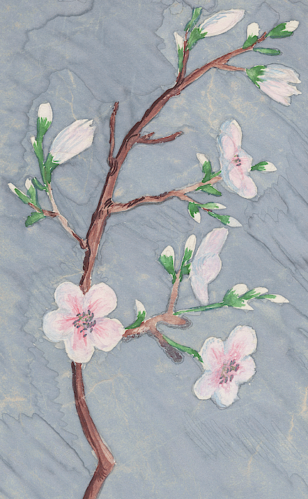 Gentle Grey Wind Pink Blossoms Watercolor by Irina Sztukowski Gentle Grey Wind Pink Blossoms Watercolor by Irina Sztukowski